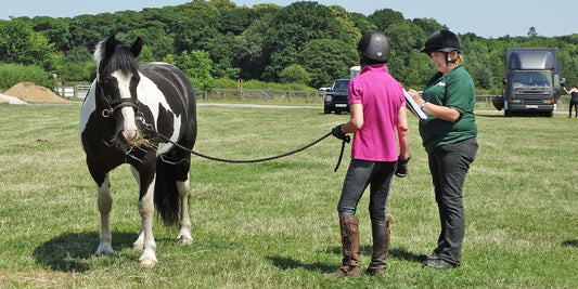 Eland Lodge Adult Riding Camps: Demo's