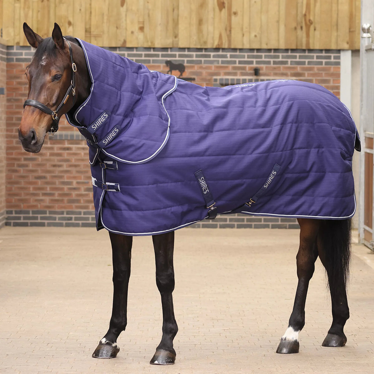 Shires Tempest Original 100g Stable Rug & Neck