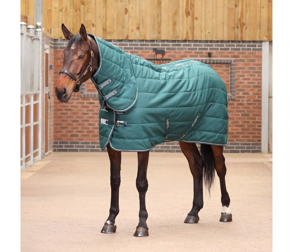 Shires Tempest Original 200g Stable Rug & Neck Set