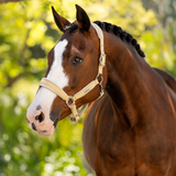 Horse wears the LeMieux Versailles Headcollar in Mimosa