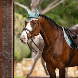 Horse wears the LeMieux Loire Fly Hood in Aqua