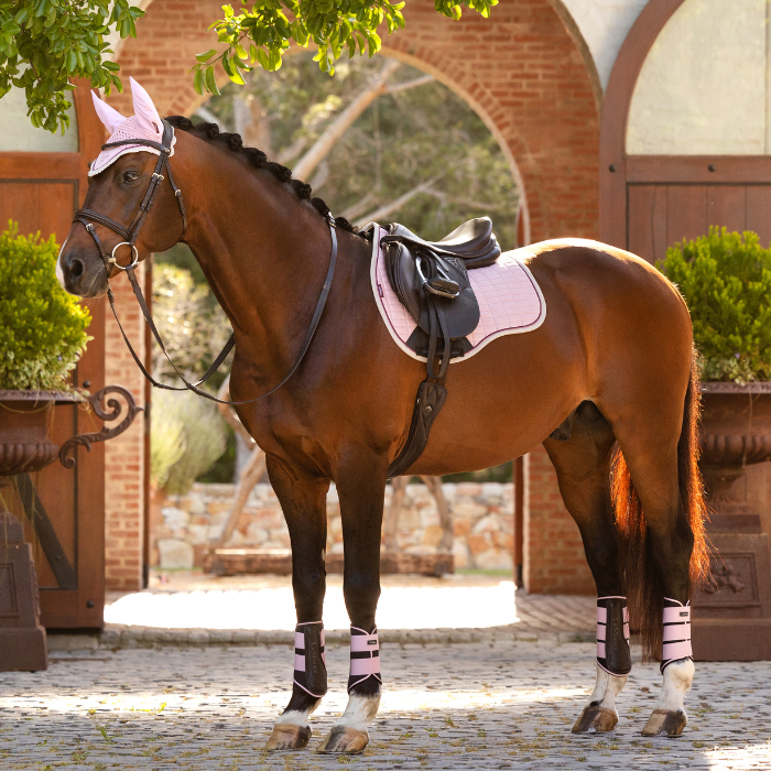 Horse wears LeMieux Suede GP Square in Blossom