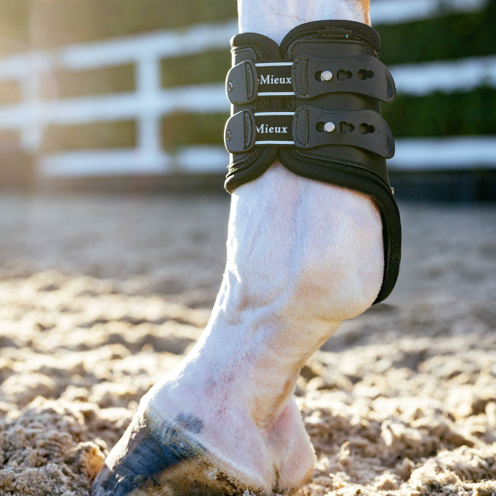 Horse wears the LeMieux EXO Flex Fetlock Boot in Black/Silver