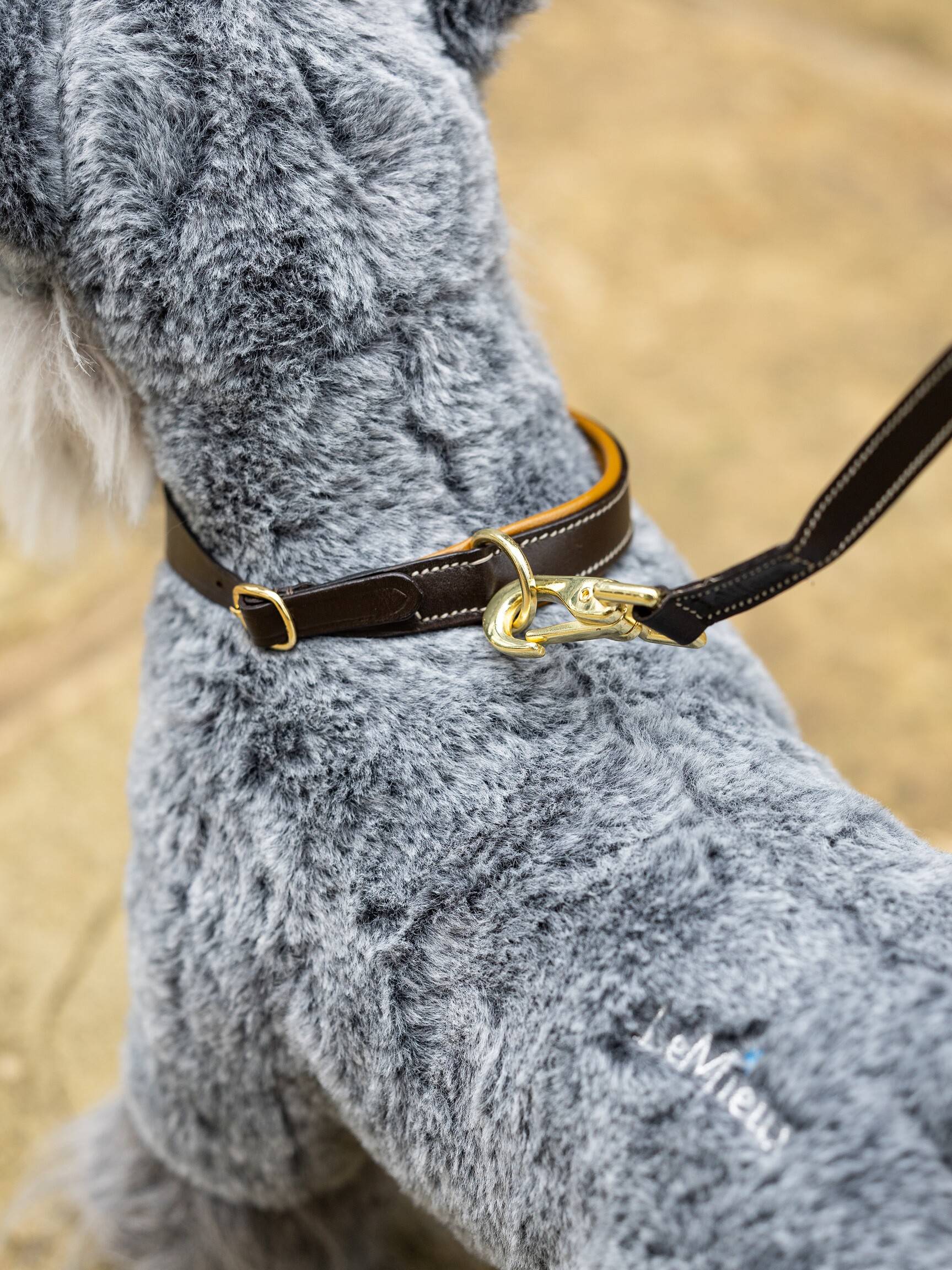 LeMieux Toy Puppy Collar & Lead