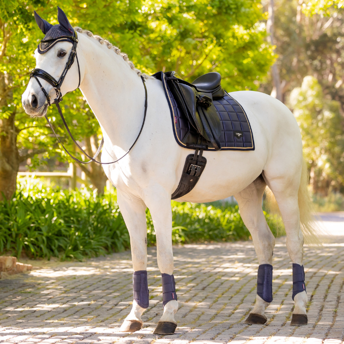 Beautiful grey horse is tacked up wearing the LeMieux Loire Classic Dressage Square in dusk blue