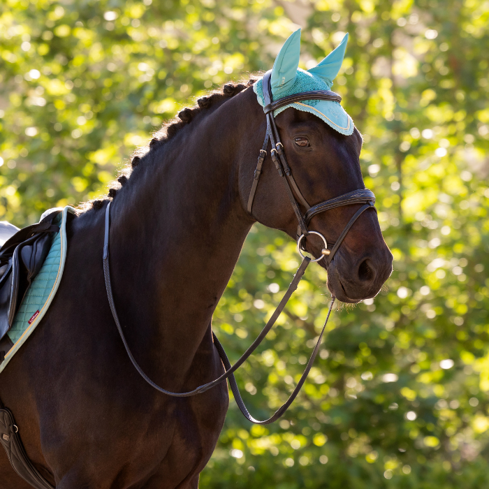 Horse wears the LeMieux Classic Fly Hood in Lagoon