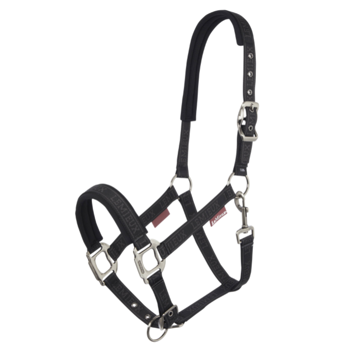 The LeMieux Logo Headcollar in Cinder