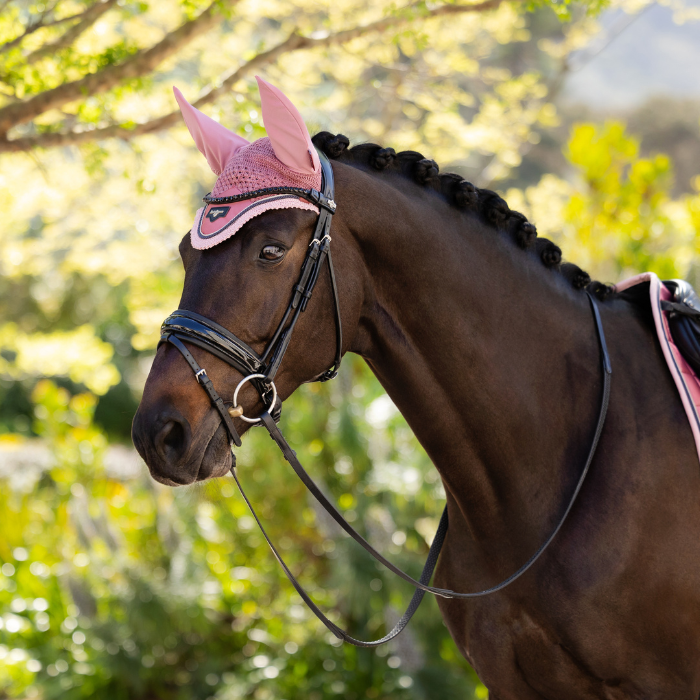 Horse wears the LeMieux Loire Fly Hood in Peony