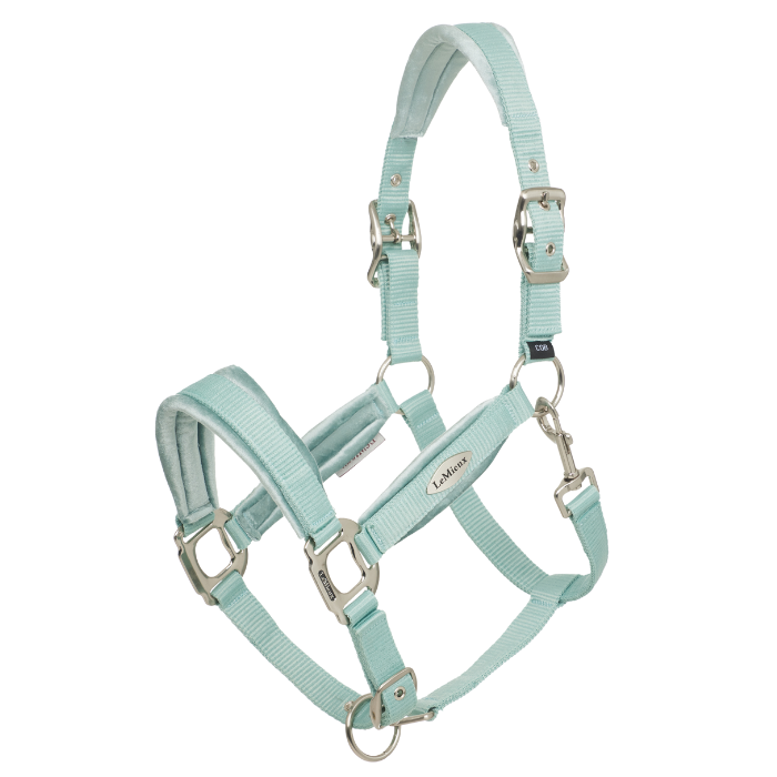 LeMieux Versailles Headcollar in Aqua