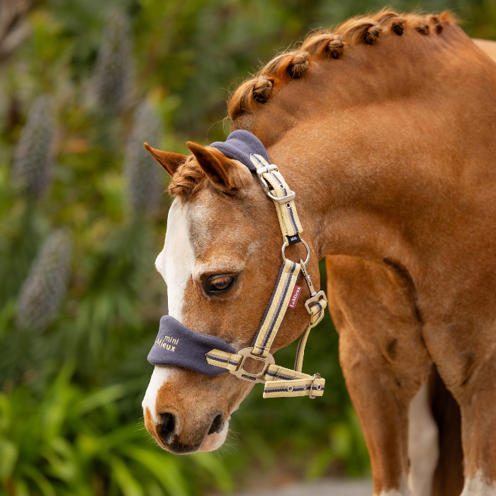 Cute pony wears the LeMieux Mini Vogue Headcollar & Leadrope in dusk blue