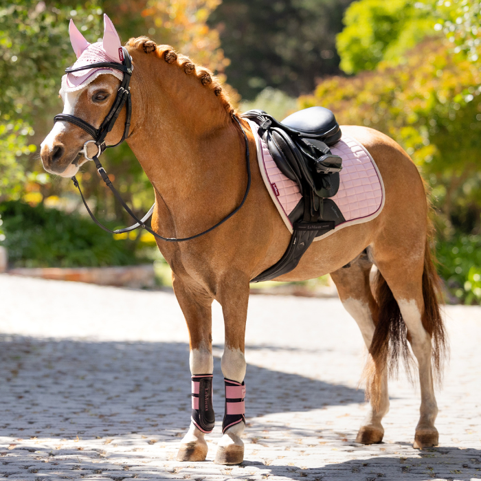 Pony wears the LeMieux Mini Suede Close Contact Square in blossom with coordinating accessories