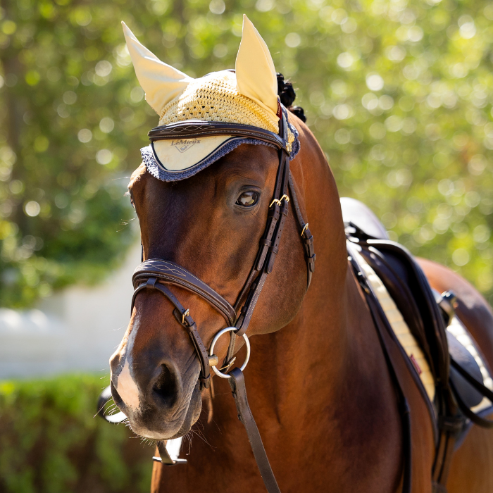 Horse wears the LeMieux Classic Fly Hood in Mimosa