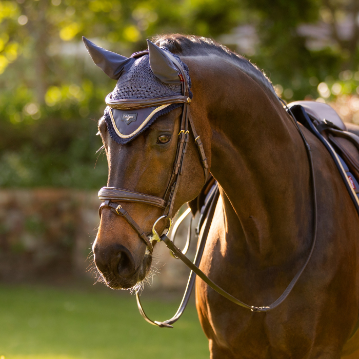 Horse wears the LeMieux Loire Fly Hood in Dusk