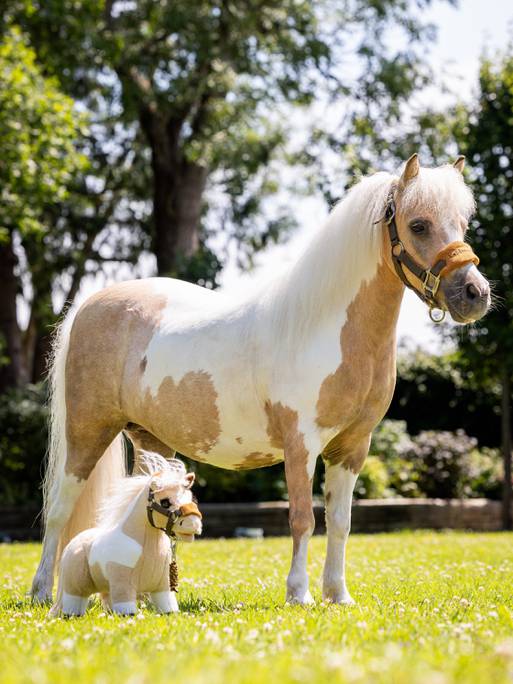 LeMieux Toy Pony