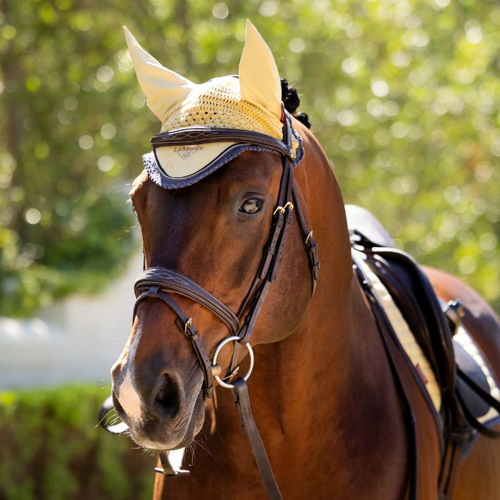 Bay pony wears the LeMieux Mini Classic Fly Hood in Mimosa