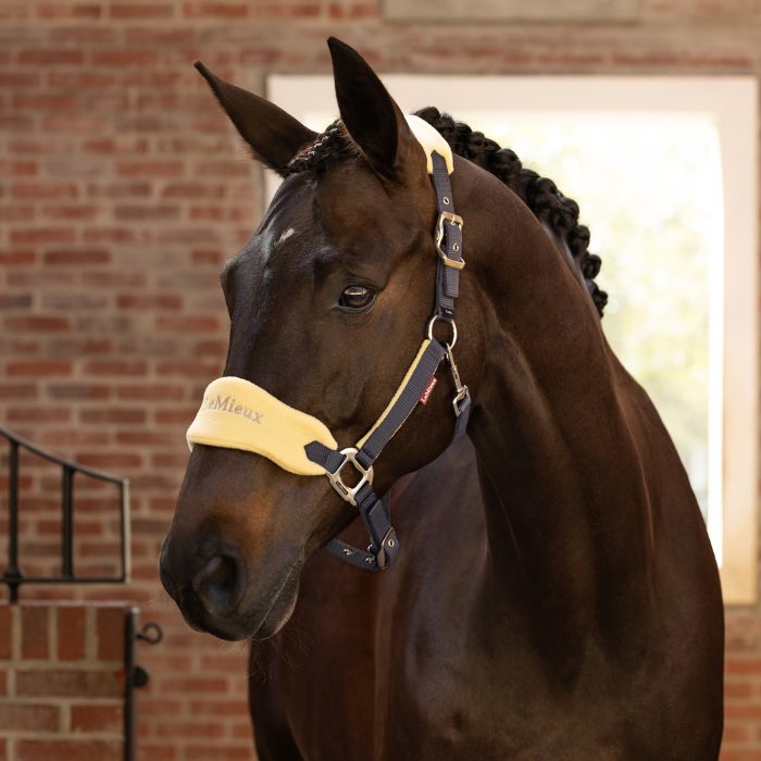 Horse wears the LeMieux Vogue Headcollar & Leadrope in mimosa