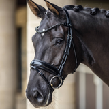 Stunning horse wears the LeMieux Kudos Patent Dressage Bridle in Black