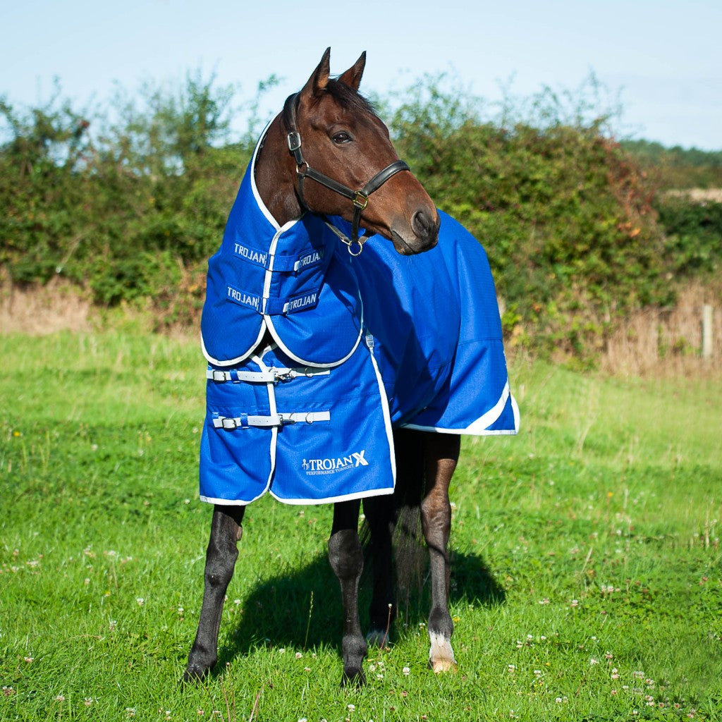 Gallop Equestrian Trojan Xtra 300g Dual Rug & Neck