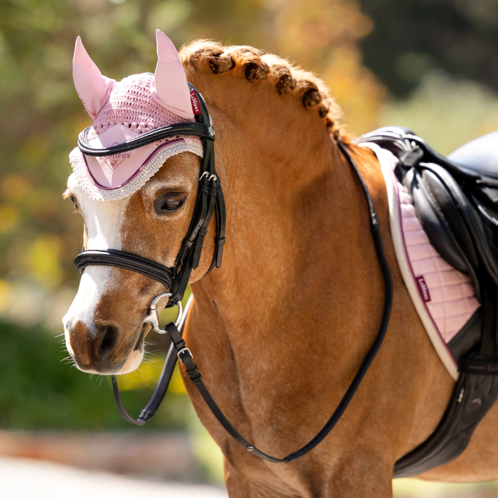 Cute pony wears the LeMieux Mini Classic Fly Hood in blossom