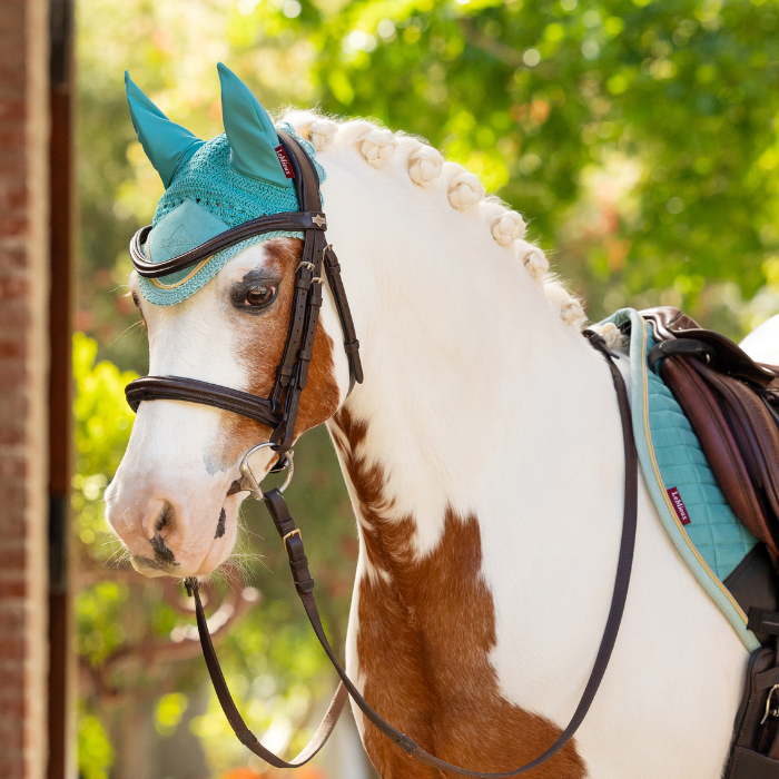 Small pony wears the LeMieux Mini Classic Fly Hood in lagoon