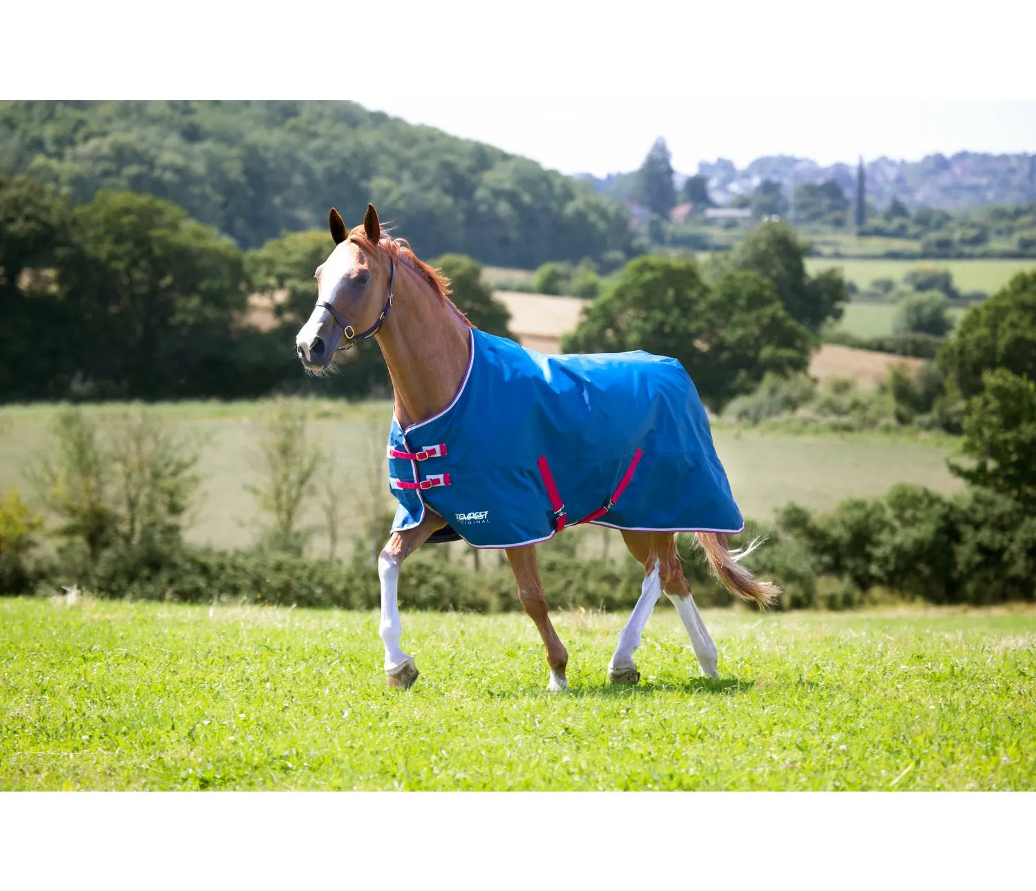 Shires Original Lite 0g Turnout Rug