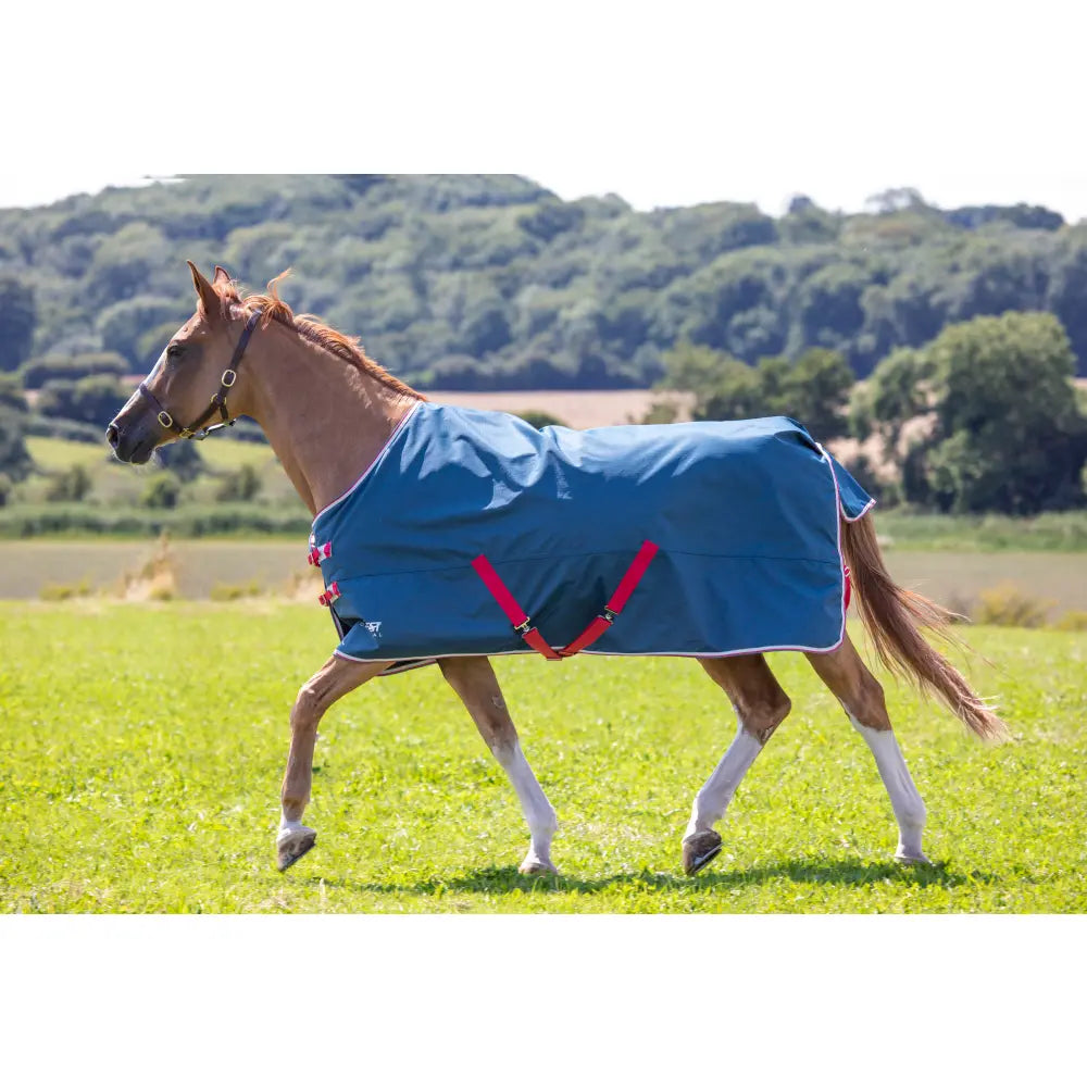 Shires Original Lite 0g Turnout Rug