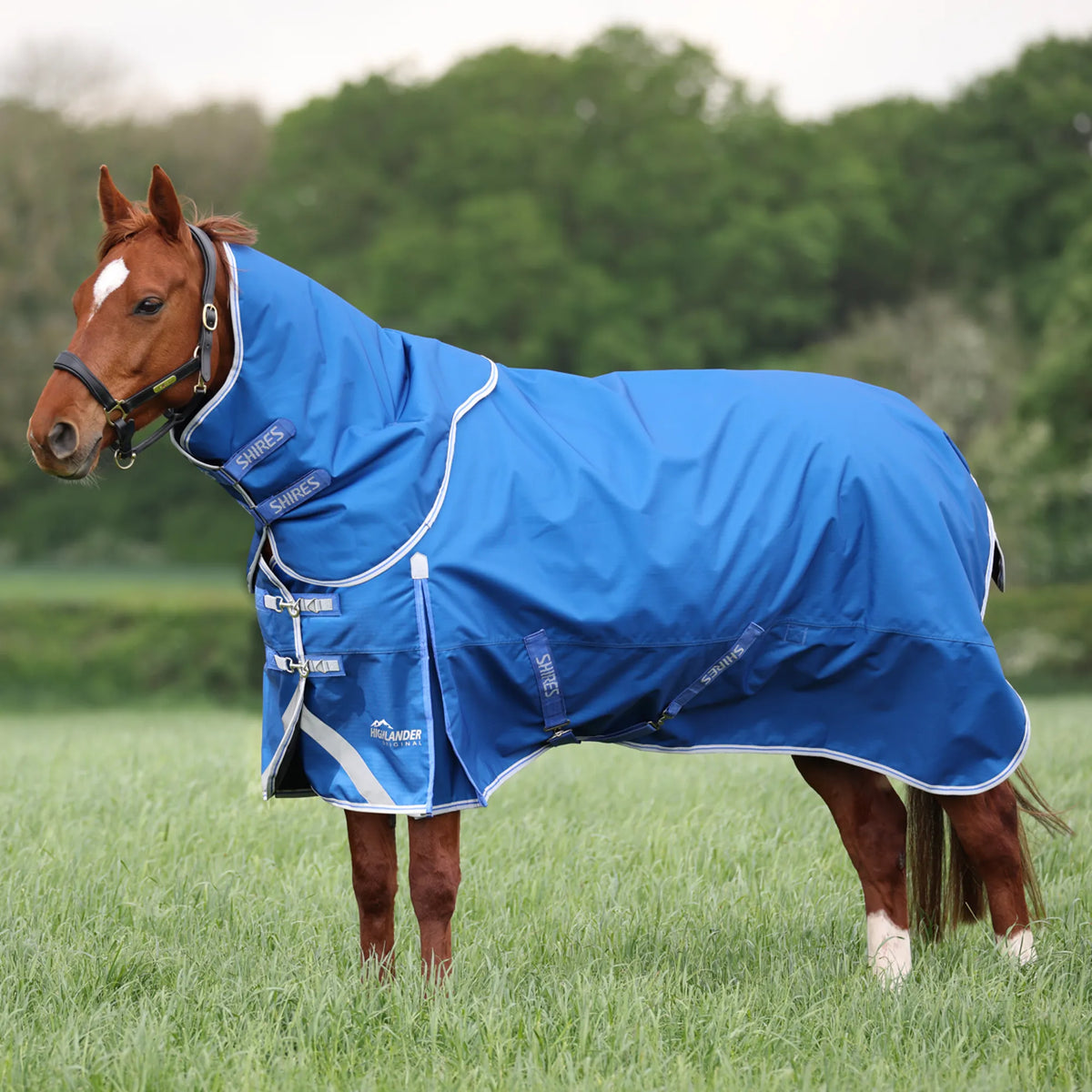 Shires Highlander Original 200g Turnout Rug & Neck