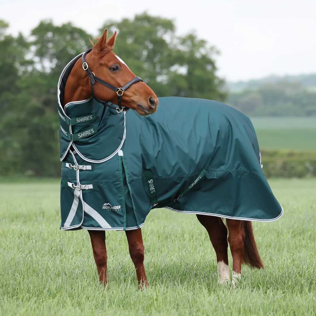 Shires Highlander Original 300g Turnout Rug And Neck Set