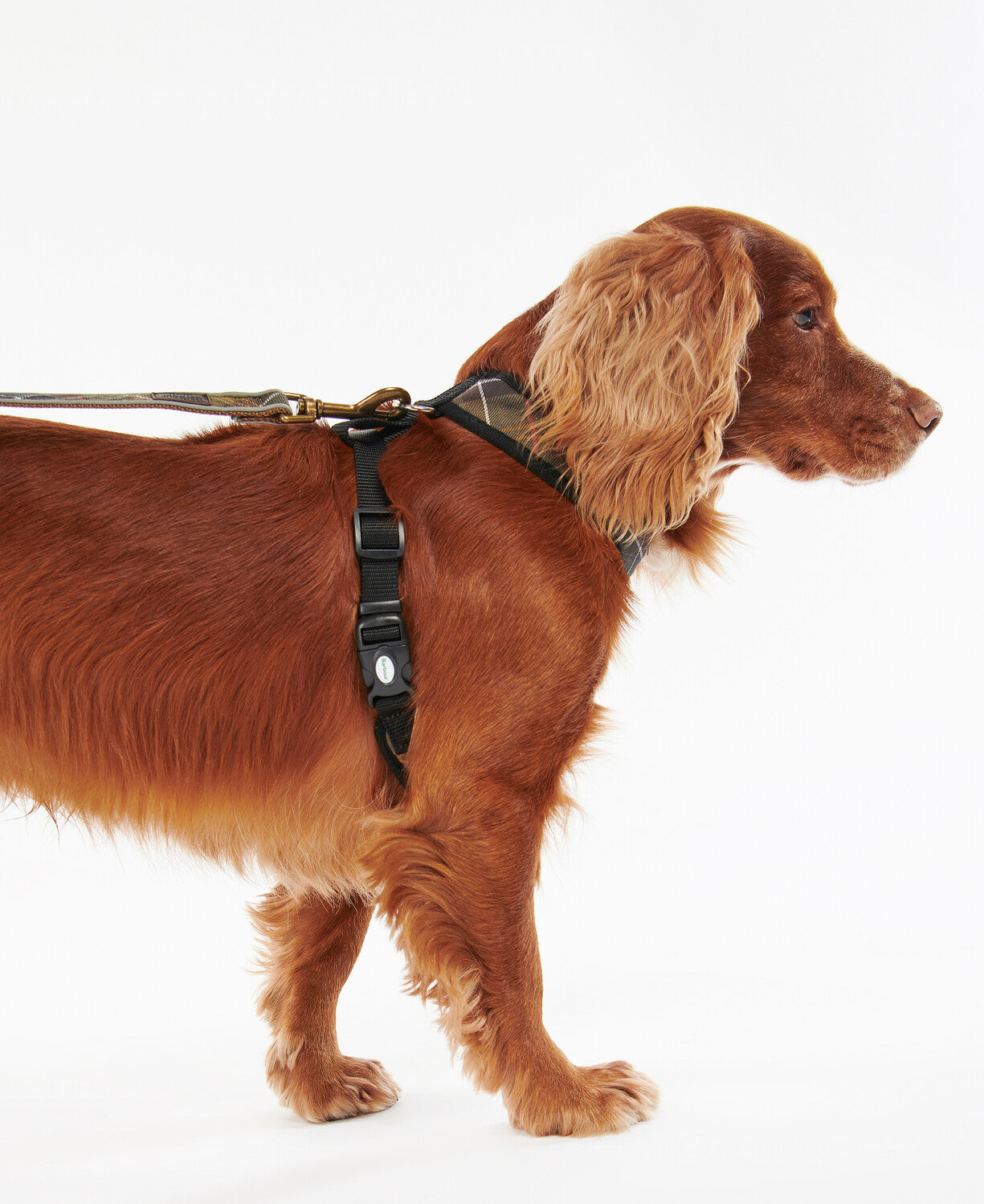 Barbour Tartan Dog Harness