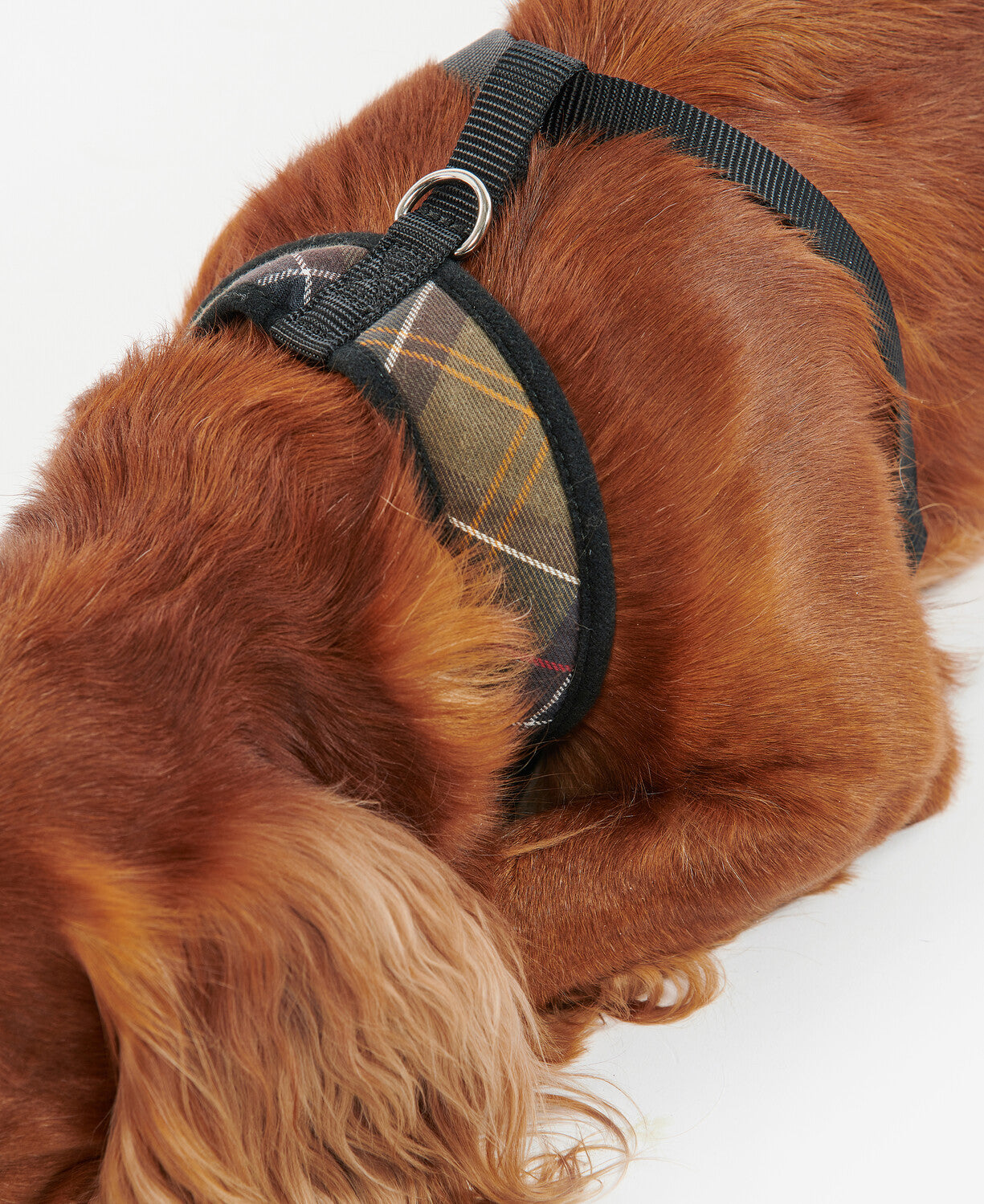 Barbour Tartan Dog Harness