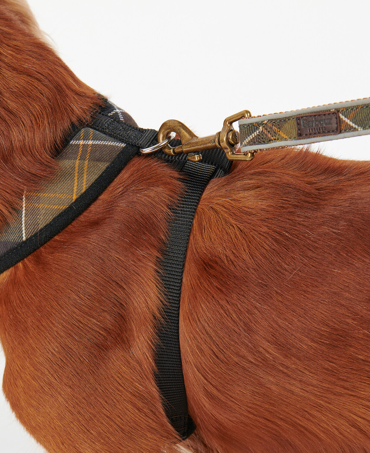 Barbour Tartan Dog Harness