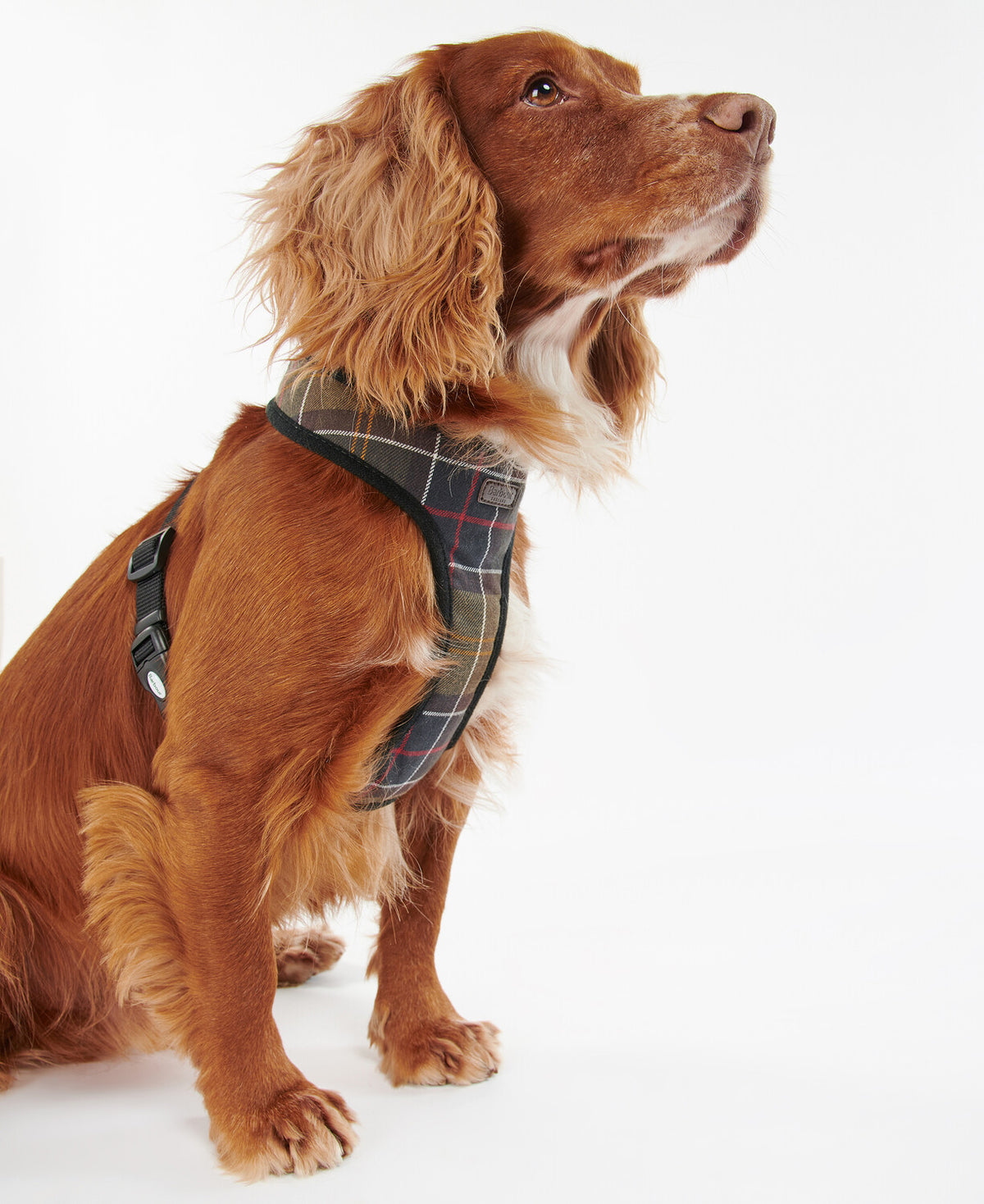 Barbour Tartan Dog Harness