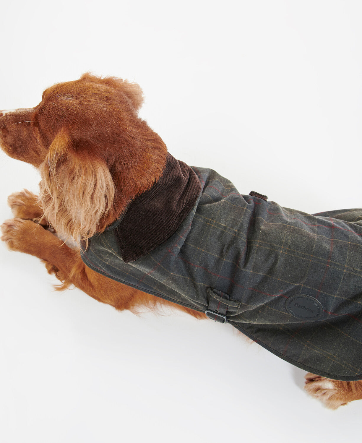 Barbour Tartan Wax Dog Coat