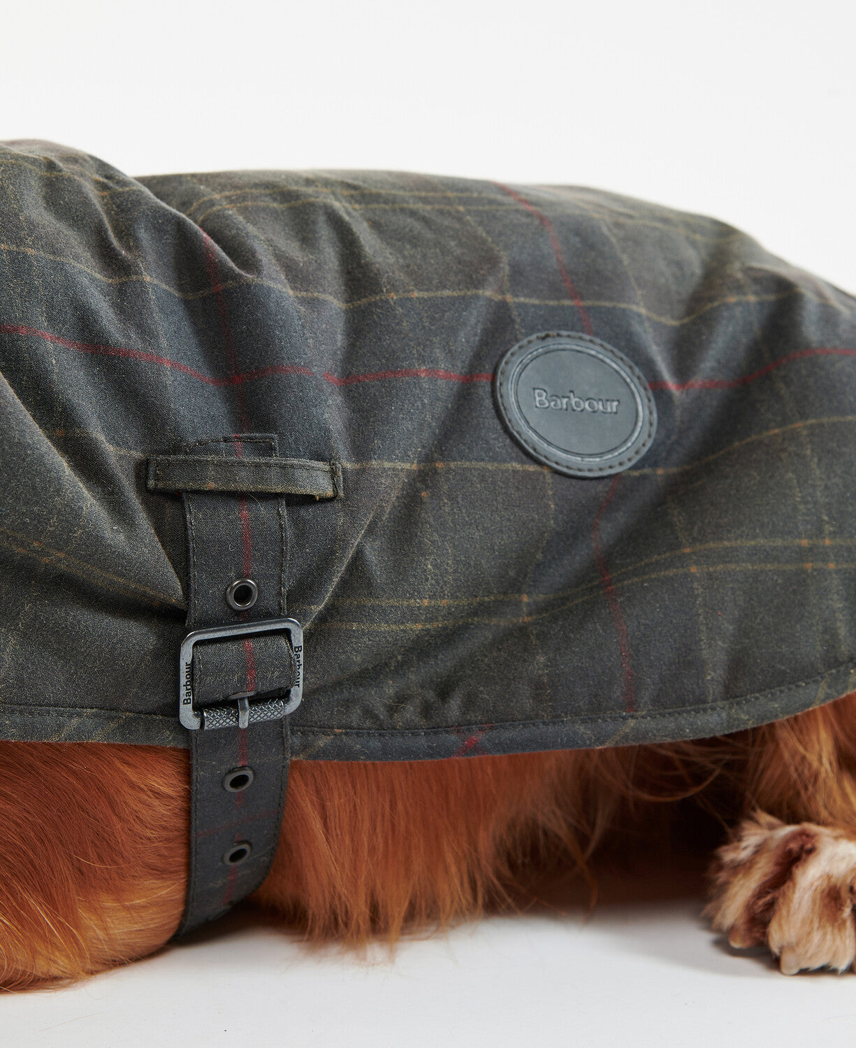 Barbour Tartan Wax Dog Coat