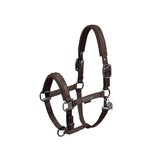 Eskadron Platinum Double Pin Glossy Crystal Headcollar