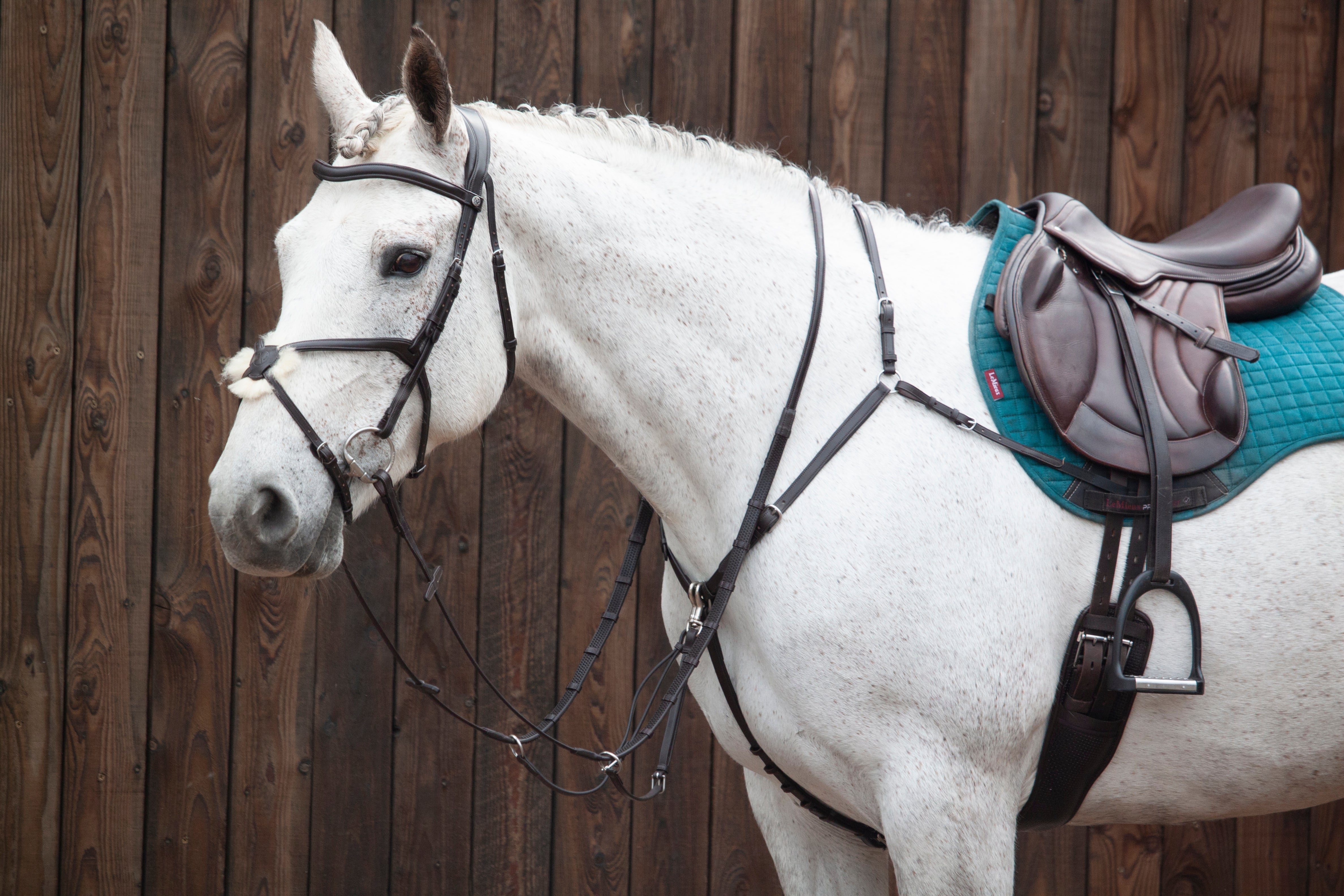 Henry James Saddlery Classic Adjustable Bridge Breastplate