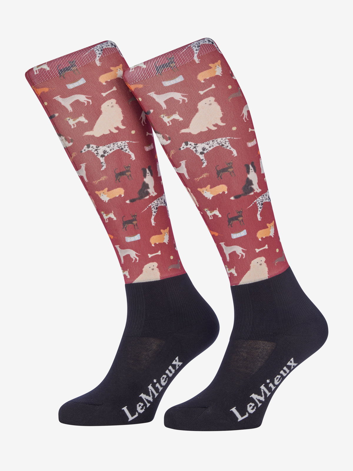 LeMieux Adult Footsie Socks - Autumn 2024