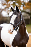 LeMieux Capella Headcollar - Autumn 2024