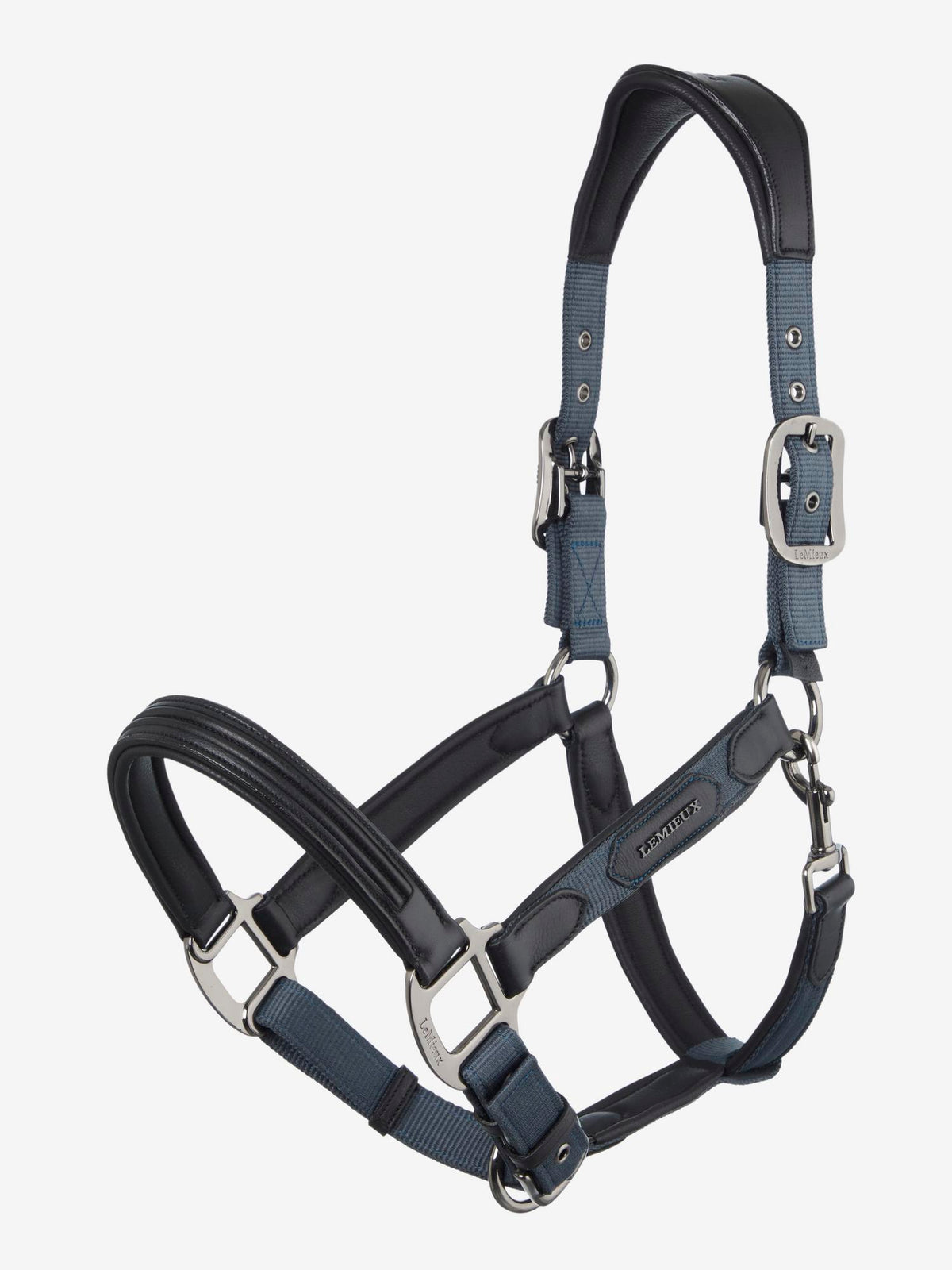 LeMieux Capella Headcollar - Autumn 2024