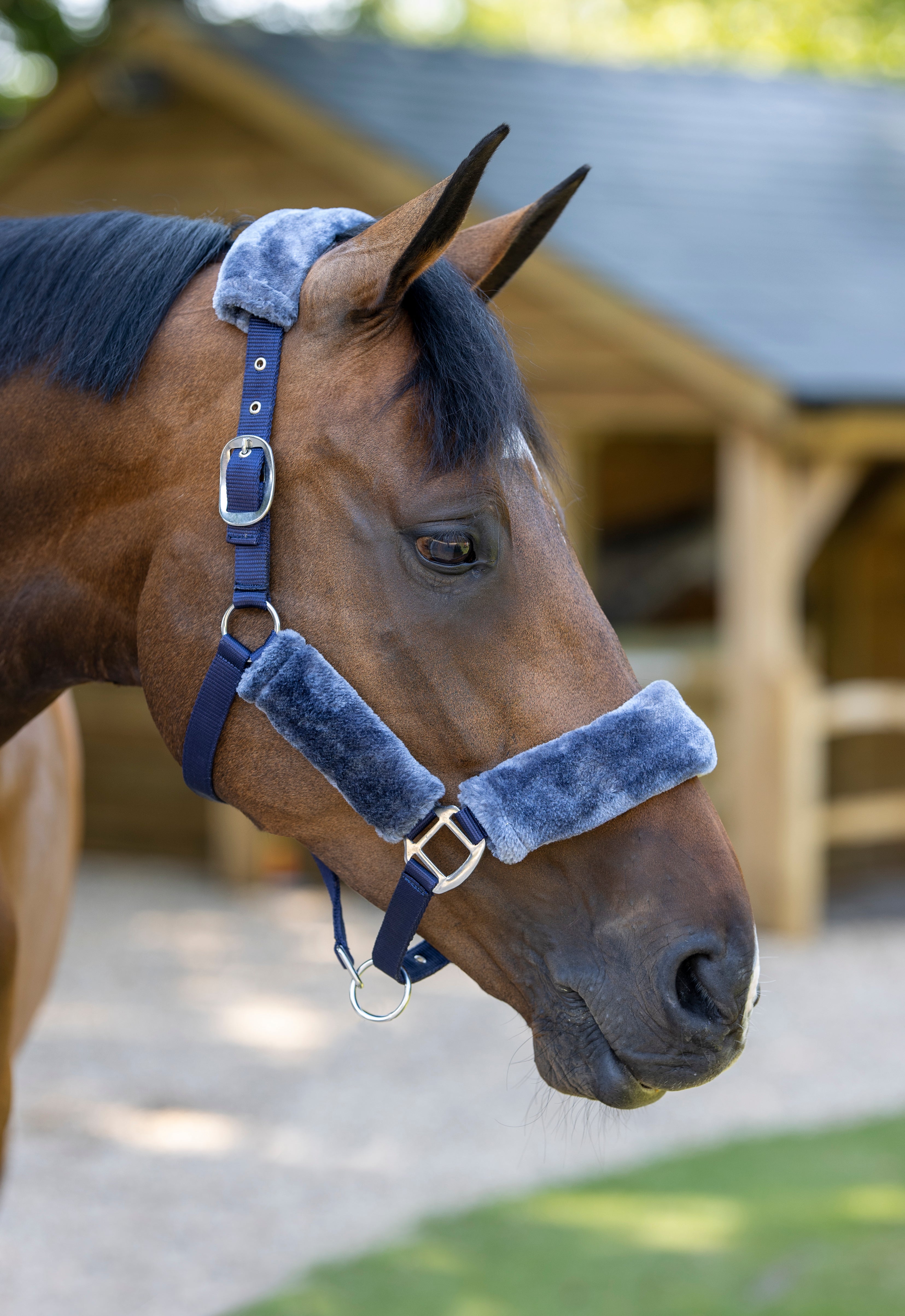 LeMieux Comfort Headcollar