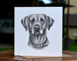 Molly Doodle Dandy Labrador Retriever Greeting Card