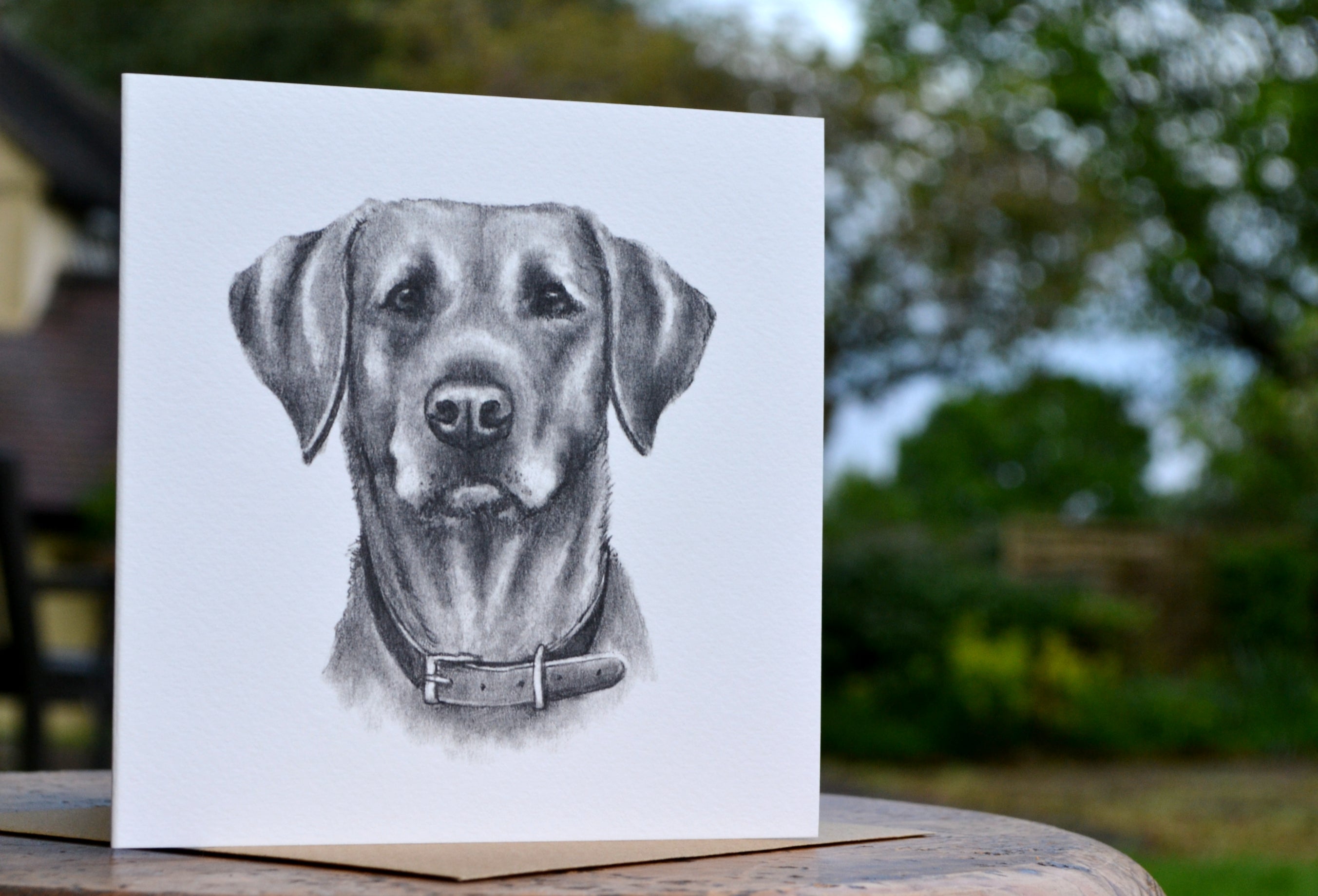 Molly Doodle Dandy Labrador Retriever Greeting Card