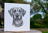 Molly Doodle Dandy Labrador Retriever Greeting Card