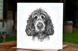 Molly Doodle Dandy Spaniel Greeting Card