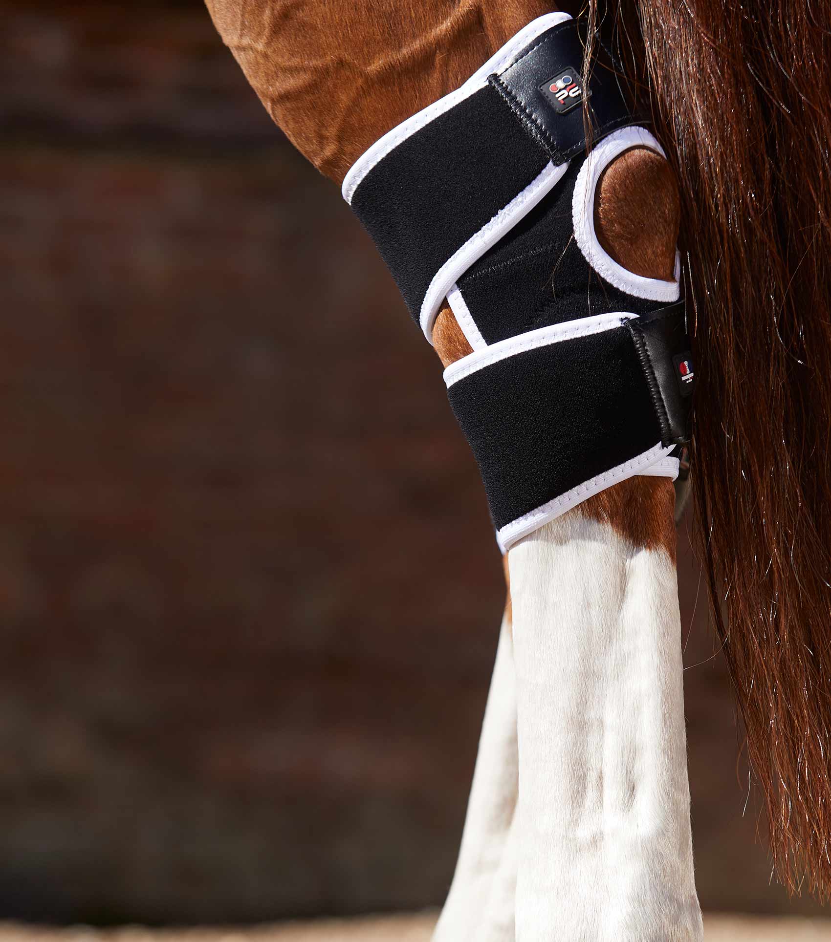 Premier Equine Magni-Teque Hock Boots