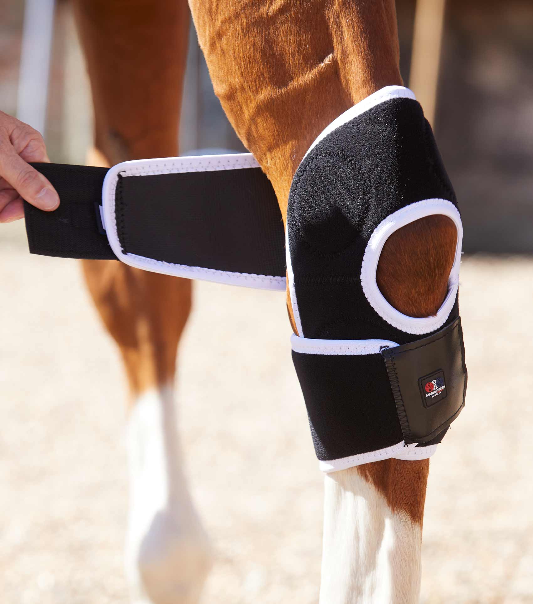 Premier Equine Magni-Teque Hock Boots