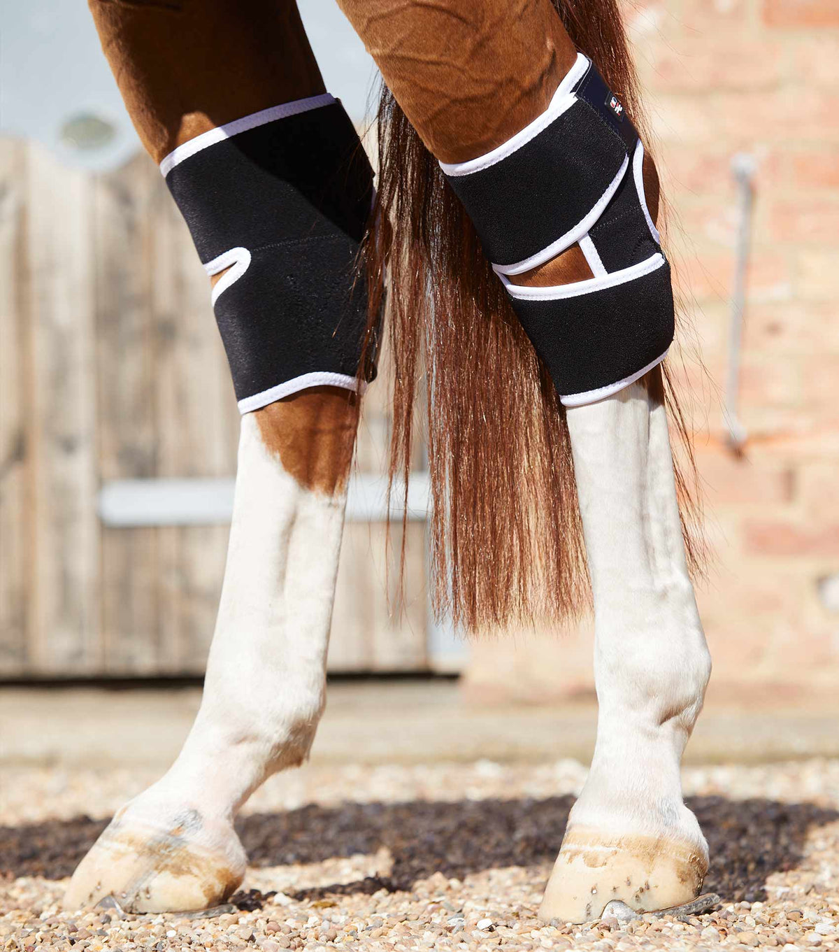 Premier Equine Magni-Teque Hock Boots