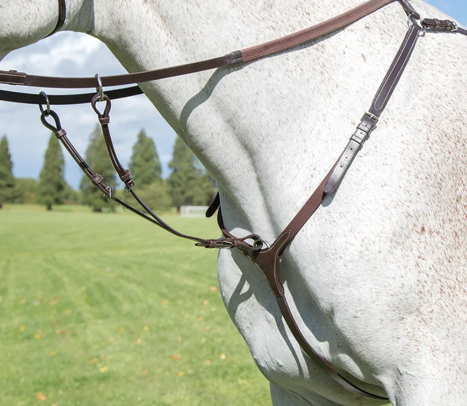 Shires Avignon Breastplate