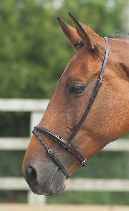 Shires Velociti Gara Flash Noseband