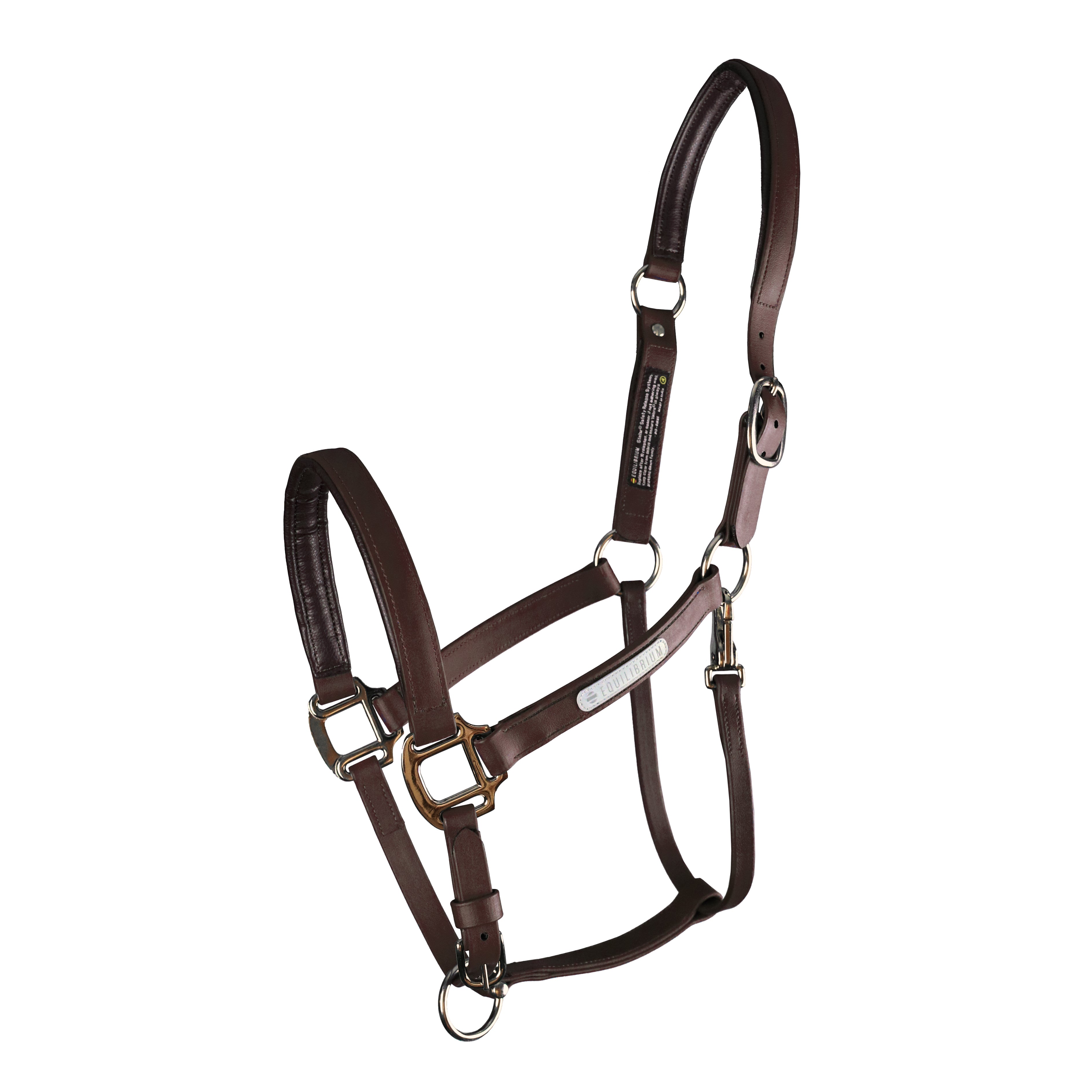 Equilibrium Stellar Headcollar